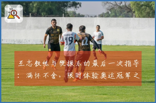 王志教练与樊振东的最后一次指导：满怀不舍，限时体验奥运冠军之路