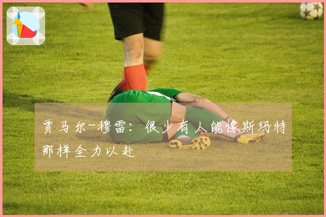 贾马尔-穆雷：很少有人能像斯玛特那样全力以赴
